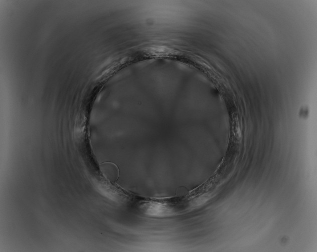 X0000100750507200807031339