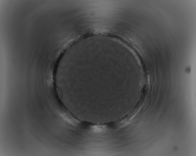 X0000100750508200807031339