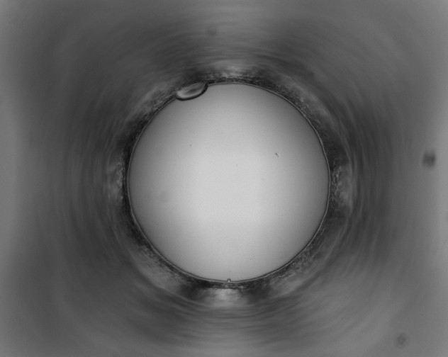 X0000100750509200807031339