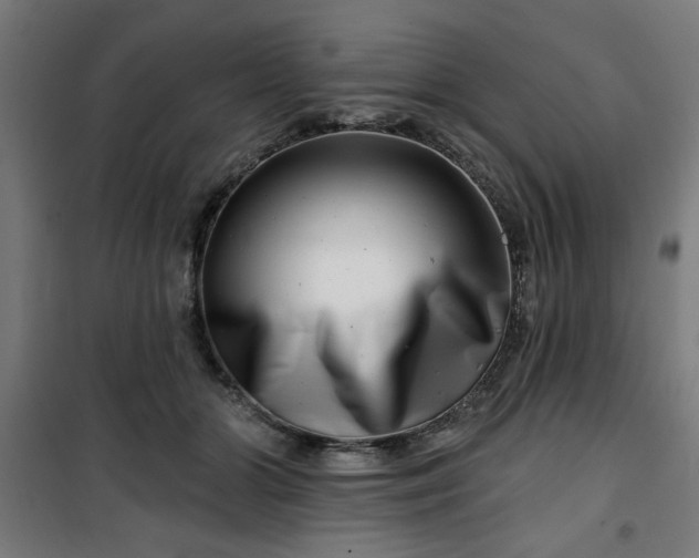 X0000100750510200807031339