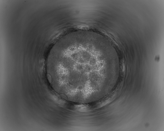 X0000100750511200807031339