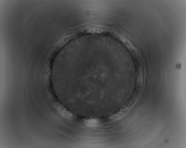 X0000100750513200807031339