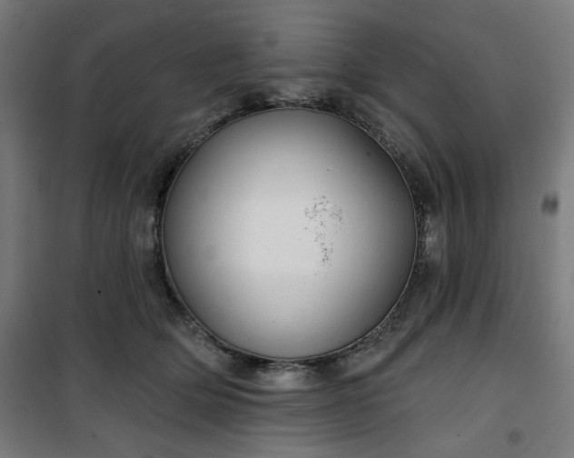 X0000100750514200807031339