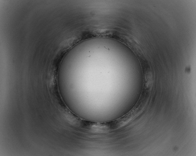 X0000100750515200807031339