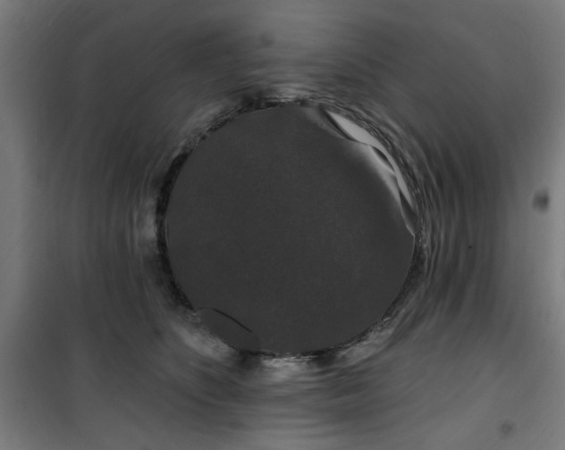 X0000100750516200807031339