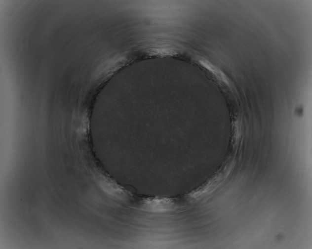 X0000100750517200807031339