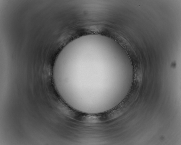 X0000100750518200807031339