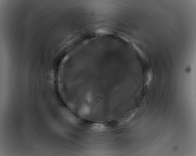 X0000100750519200807031339