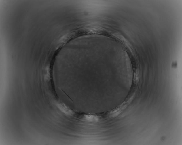 X0000100750520200807031339