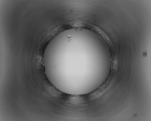 X0000100750521200807031339