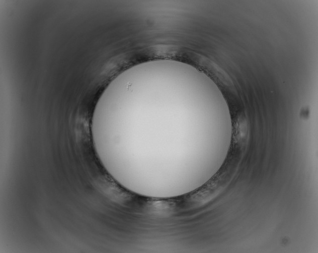 X0000100750522200807031339