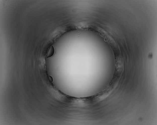 X0000100750523200807031339