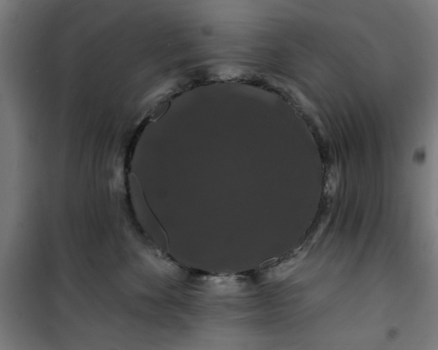 X0000100750524200807031339