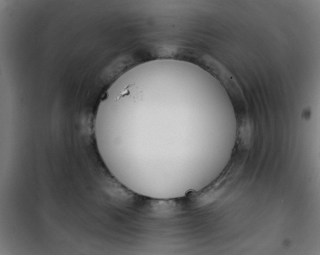 X0000100750525200807031339