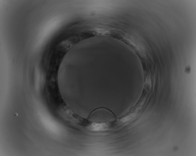 X0000100750526200807031339