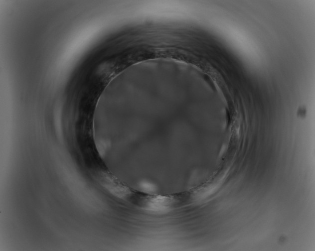 X0000100750527200807031339