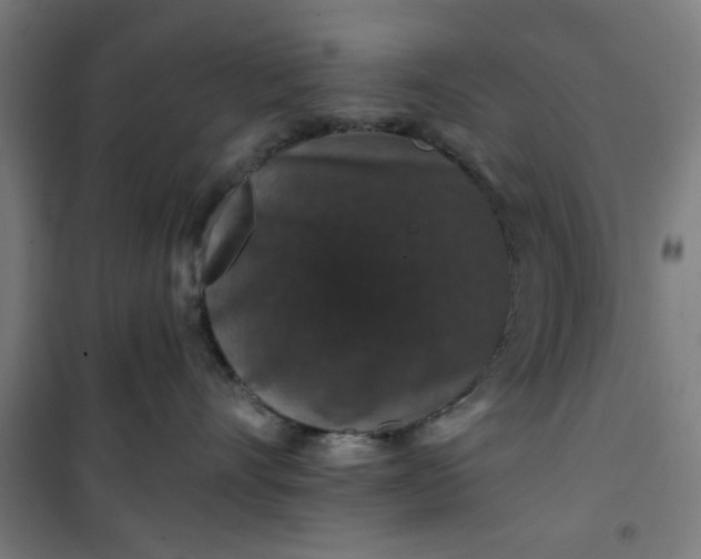 X0000100750528200807031339