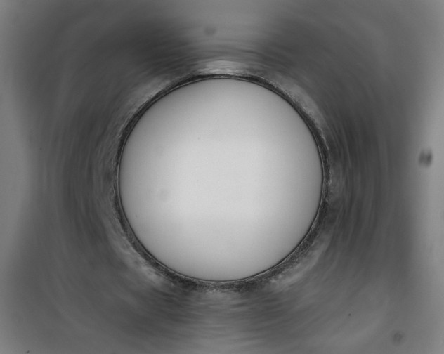 X0000100750529200807031338