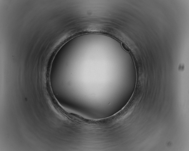 X0000100750530200807031338