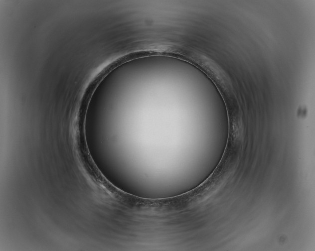 X0000100750532200807031338