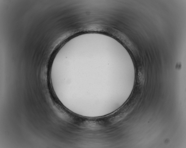 X0000100750534200807031338