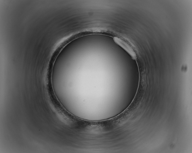 X0000100750536200807031338