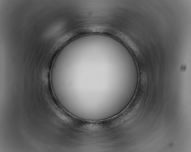 X0000100750537200807031338