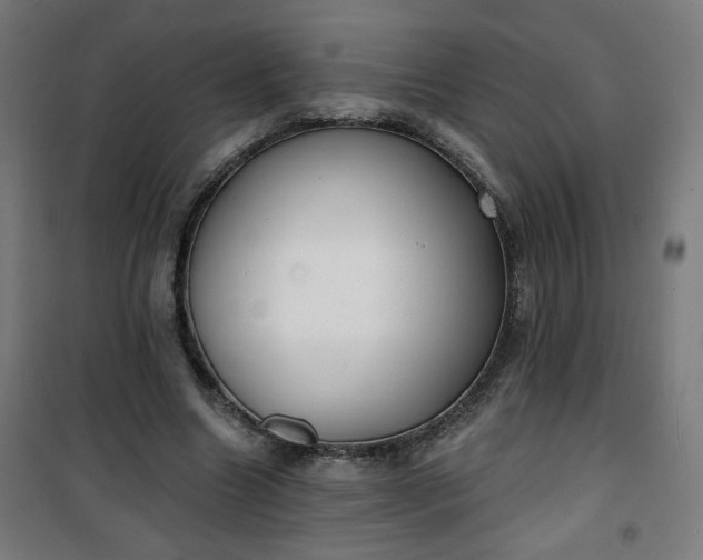 X0000100750538200807031338