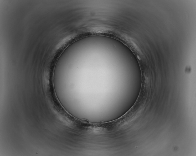 X0000100750539200807031338