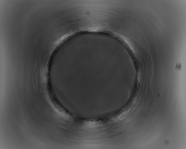 X0000100750540200807031338