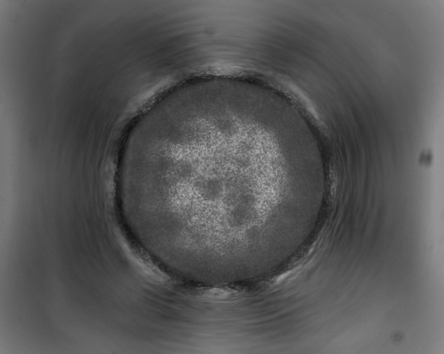 X0000100750542200807031338