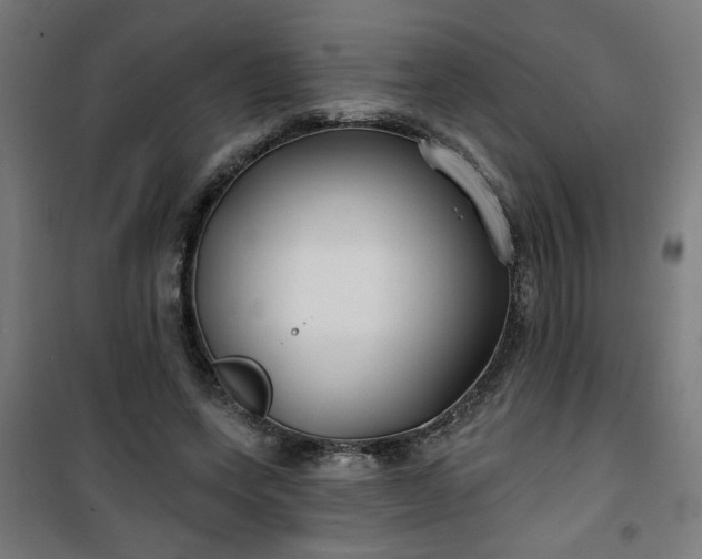 X0000100750543200807031338