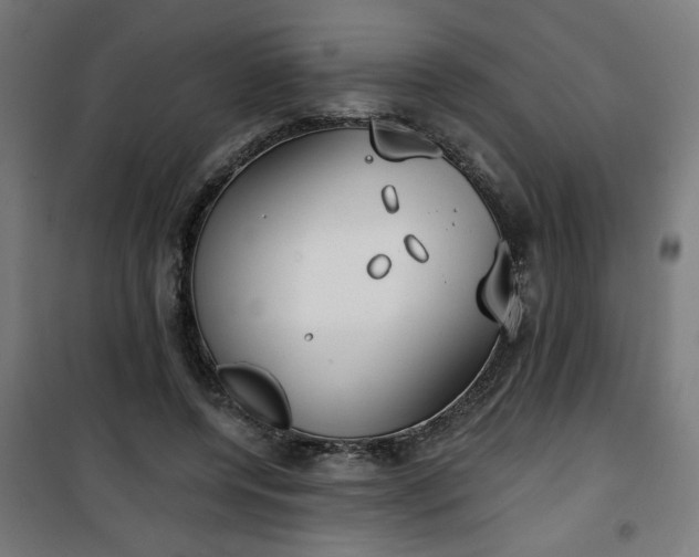 X0000100750544200807031338