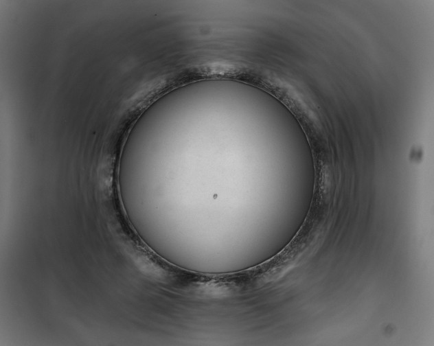 X0000100750545200807031338