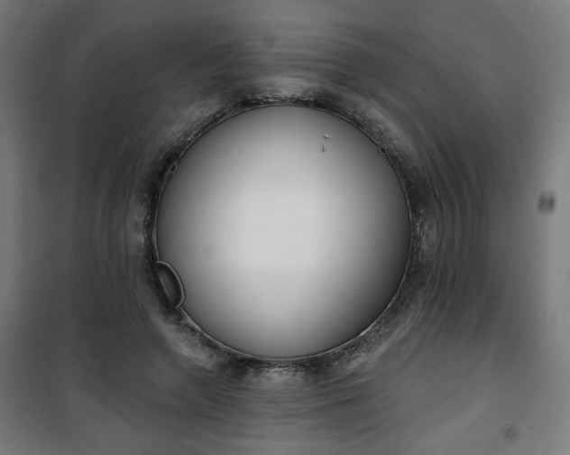 X0000100750546200807031338