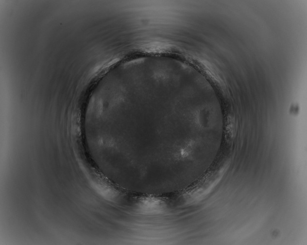 X0000100750547200807031338