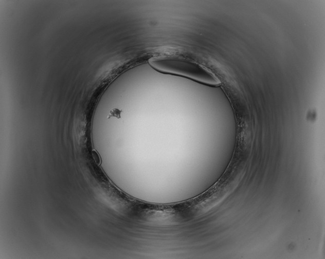 X0000100750548200807031338