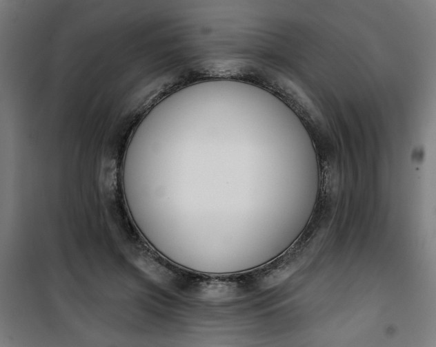 X0000100750549200807031338