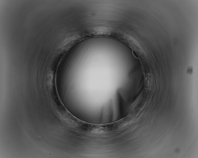 X0000100750550200807031338