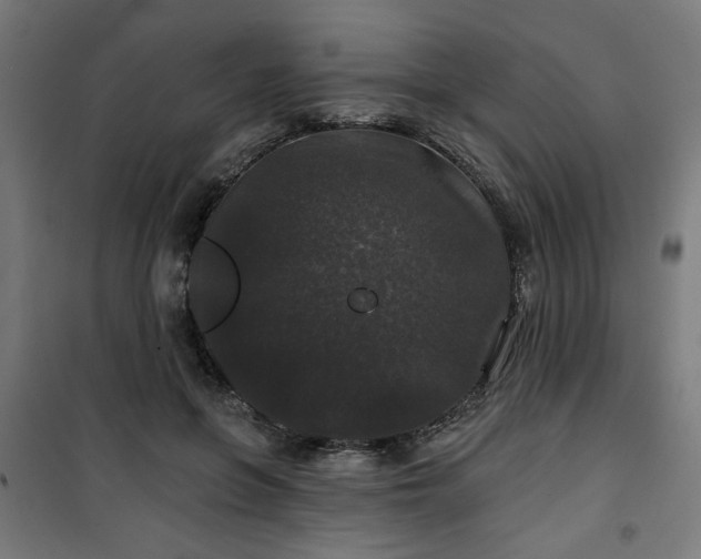 X0000100750551200807031338