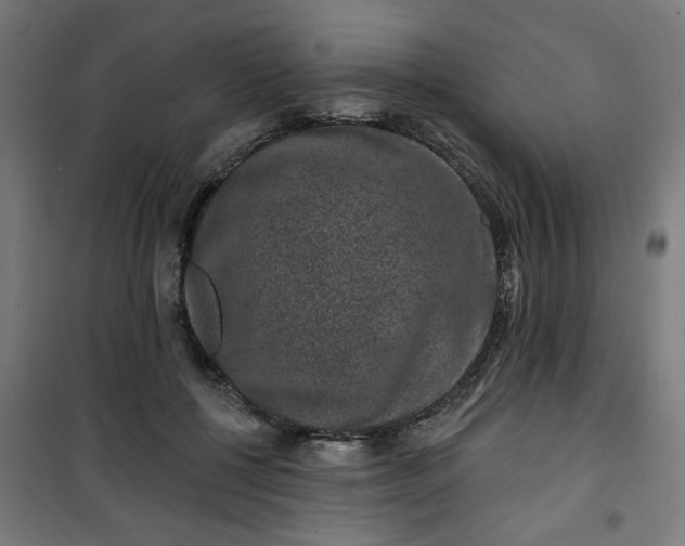 X0000100750552200807031338