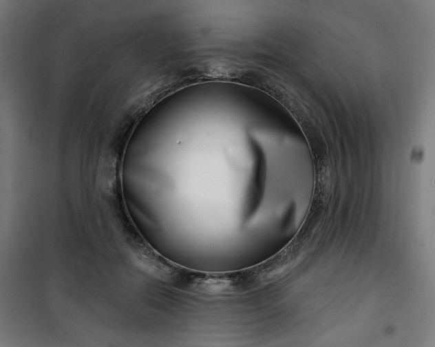 X0000100750554200807031338