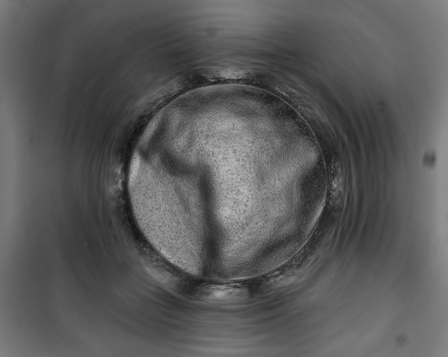 X0000100750555200807031338