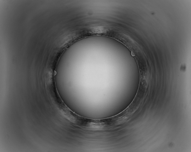 X0000100750556200807031338