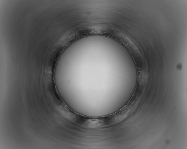 X0000100750557200807031338