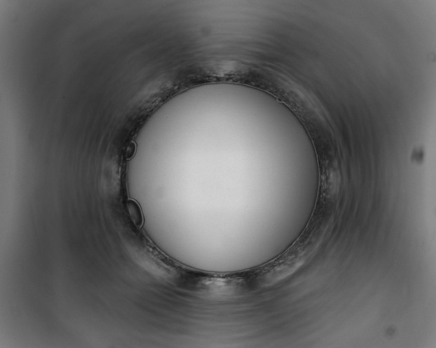 X0000100750558200807031338