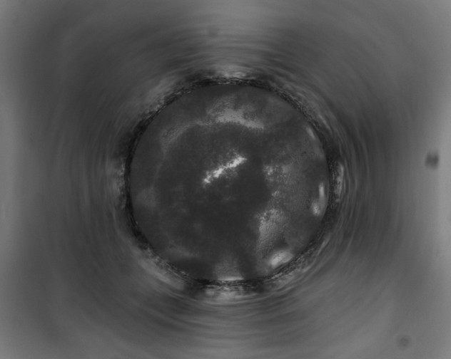 X0000100750559200807031338