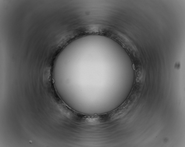 X0000100750560200807031338