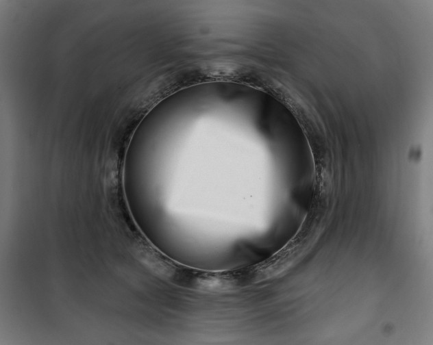 X0000100750561200807031338