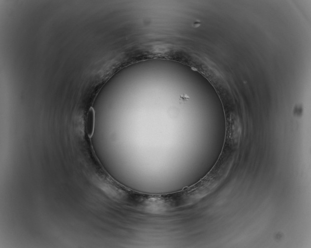 X0000100750562200807031338